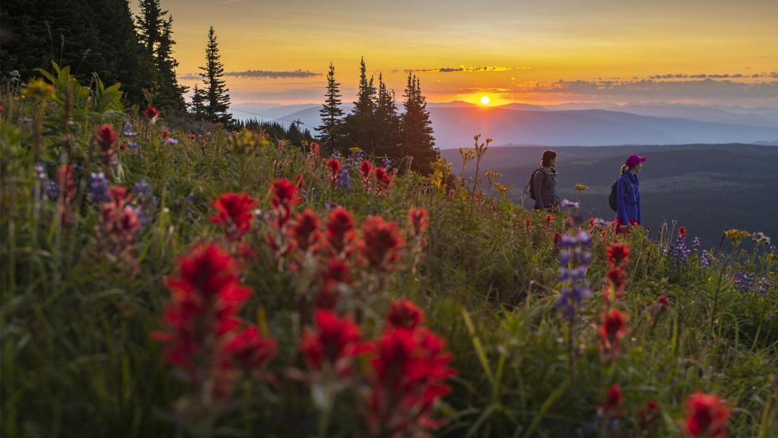 Soleil Chalet By Bear Country Sun Peaks Δωμάτιο φωτογραφία