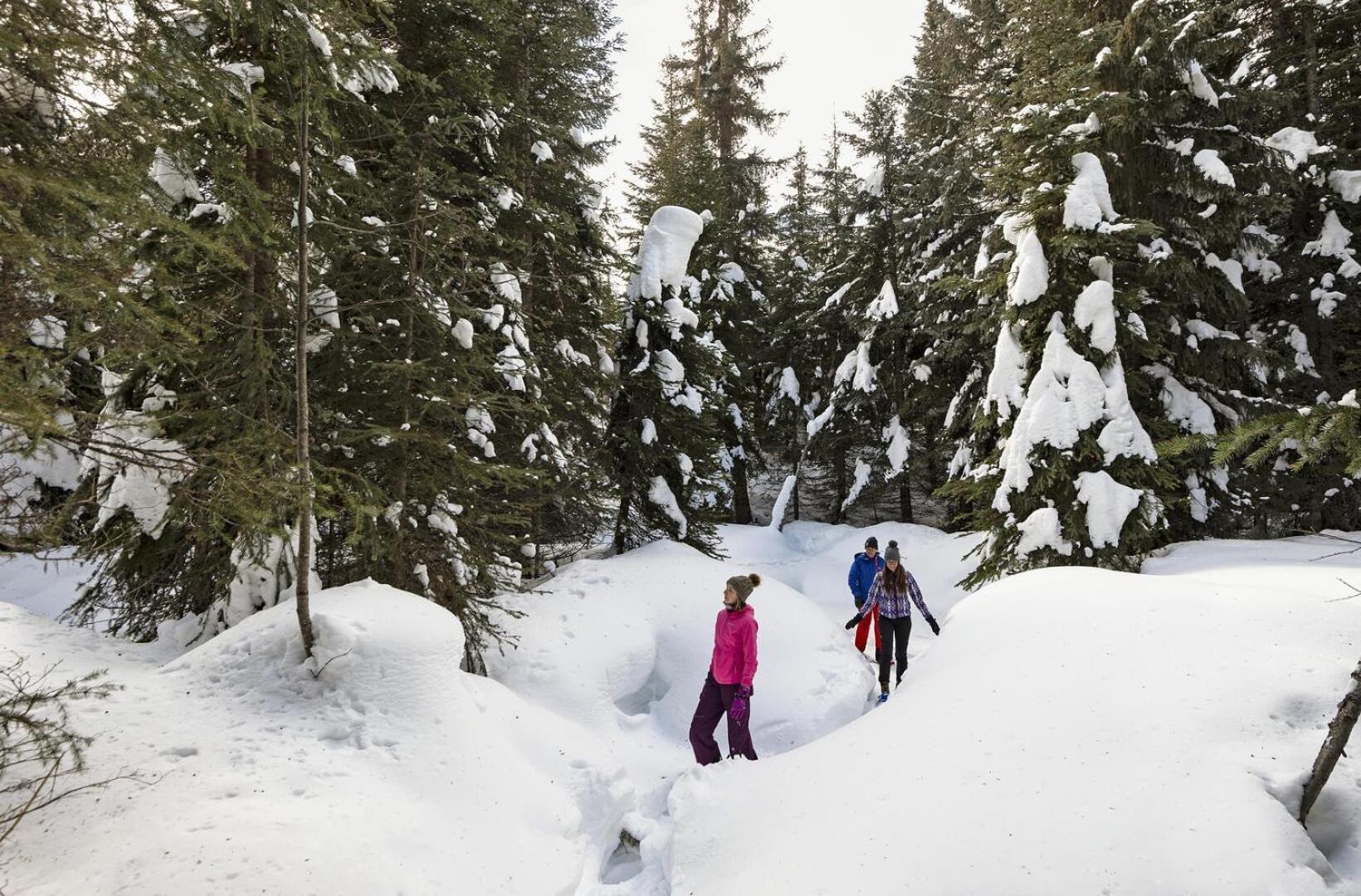 Soleil Chalet By Bear Country Sun Peaks Δωμάτιο φωτογραφία